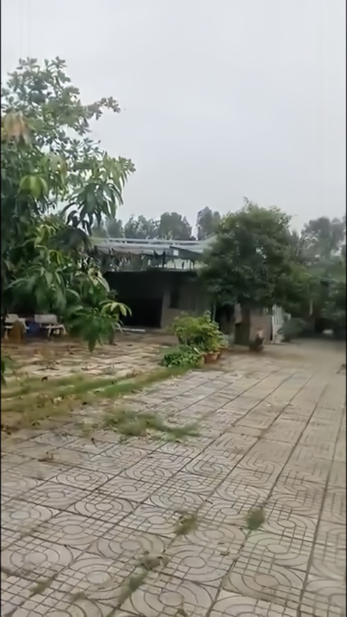 Bán nhà - Xã Vĩnh Lộc A  -  Huyện Bình Chánh  - 1400m² - 13tỷ - (ảnh - 1)