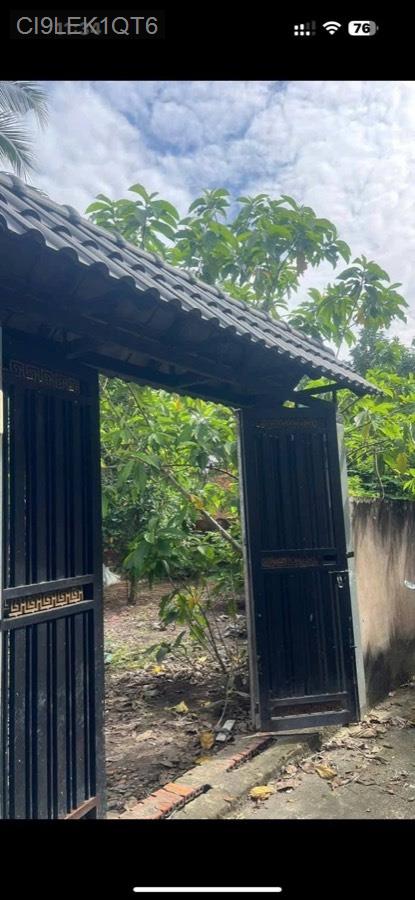 Bán lô đất đường Nguyễn Thị Sáu, diện tích 14x11 CN 145m² có 112m thổ cư - Xã Thới Tam Thôn  -  Huyện Hóc Môn  - (ảnh - 0)