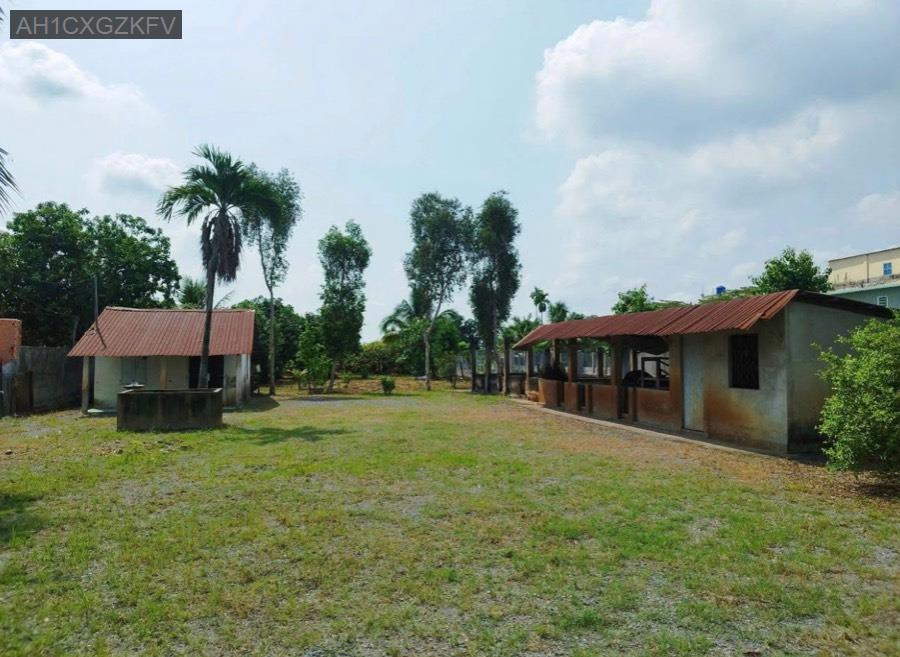 Bán nhà vườn Sổ Hồng Riêng 1000m² - thổ cư 300m², đường 6m. Giá 8tỷ7 - Xã Tân Hiệp  -  Huyện Hóc Môn  - (ảnh - 1)
