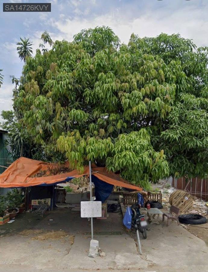 Bán lô đất mặt tiền đường Lại Hùng Cường, kinh doanh buôn bán mọi ngành nghề  - Xã Vĩnh Lộc B  -  Huyện Bình Chánh  - (ảnh - 0)