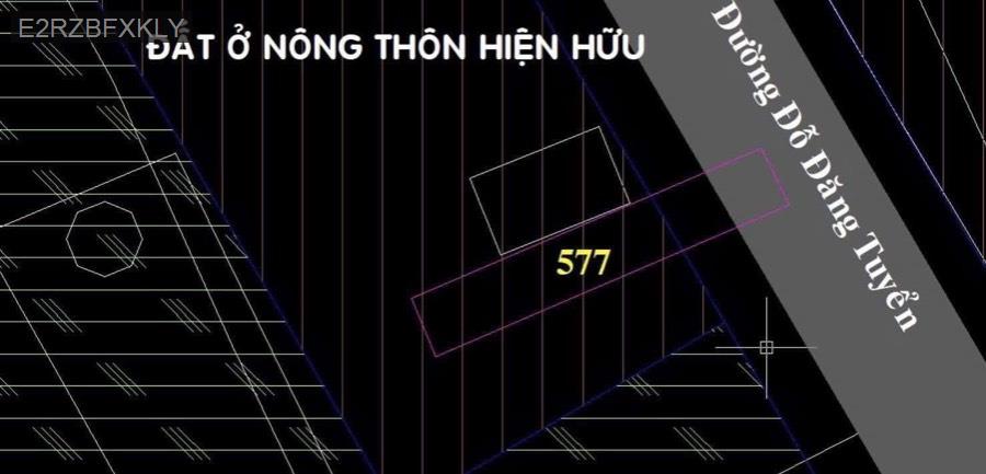 Bán đất mặt tiền đường Đỗ Đăng Tuyển, quy hoạch khu dân cư hiện hữu - mặt tiền kinh doanh tự do - Xã An Nhơn Tây  -  Huyện Củ Chi  - (ảnh - 2)