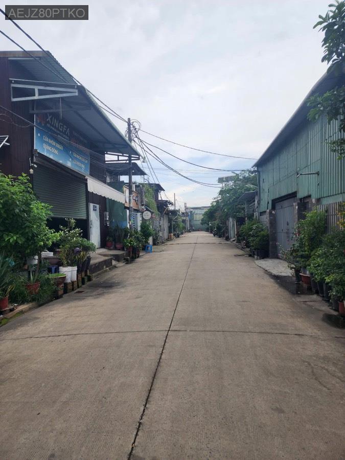 Bán đất SHR ngay Liên Ấp 1-2-3 kế bên đường Cây Cám, đường bê tông 8m  - Xã Vĩnh Lộc B  -  Huyện Bình Chánh  - (ảnh - 1)