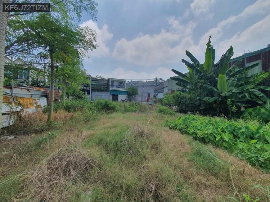 Bán đất Thơi Hoà diện tích 15x23. Vị trí đẹp gần trường học, ngân hàng, khu công nghiệp. Giá 4.2tỷ - Xã Vĩnh Lộc A  -  Huyện Bình Chánh  - (ảnh - 1)