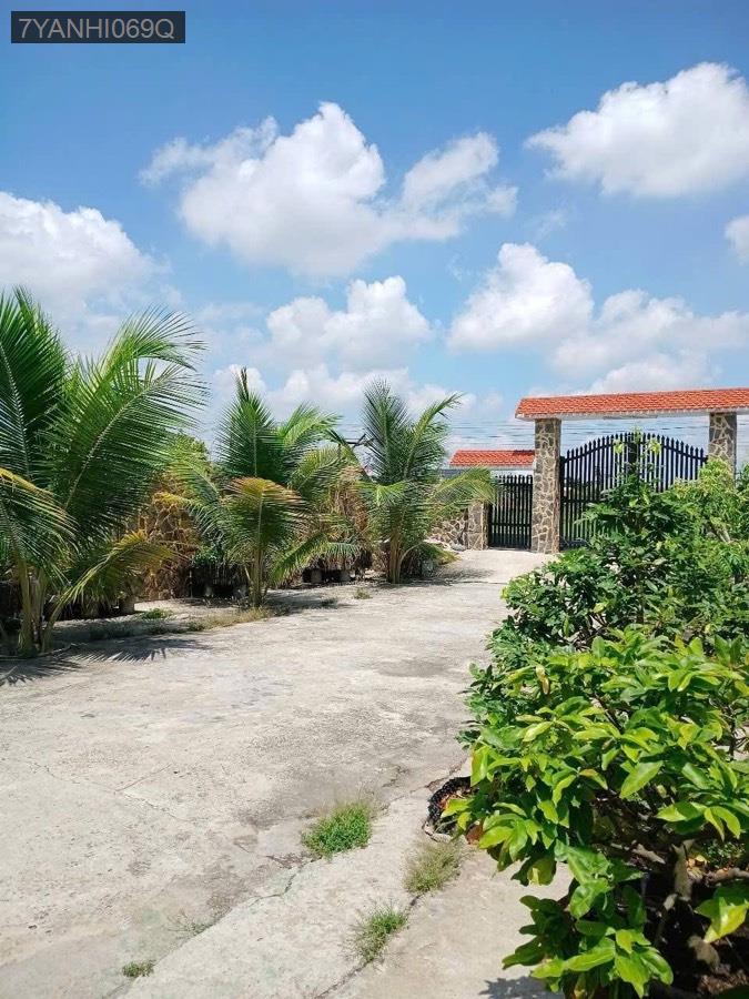 Bán nhà vườn Thị Trấn Hậu Nghĩa, SHR 18x48.5 có 200m² thổ cư. Đường ô tô chạy - Thị trấn Hậu Nghĩa  -  Huyện Đức Hòa  - (ảnh - 2)