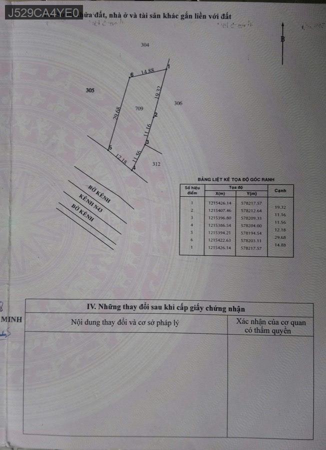 Bán nhà mặt tiền kênh, nhà diện tích rộng, gần kênh có thể trồng thêm cây, chăn nuôi gà vịt,… - Xã Phước Hiệp  -  Huyện Củ Chi  - (ảnh - 5)