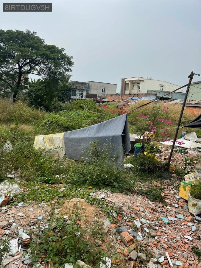 Bán đất Võ Văn Vân diện tích 36x36 full thổ . Giá 22tỷ5 - Xã Vĩnh Lộc B  -  Huyện Bình Chánh  - (ảnh - 6)