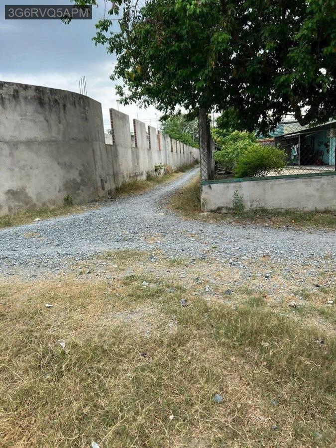 Bán lô đất vườn cách QL22 tầm 100m, gần trường học - uỷ ban. Diện tích 16x48, tổng 769m² - Xã Tân Thông Hội  -  Huyện Củ Chi  - (ảnh - 4)