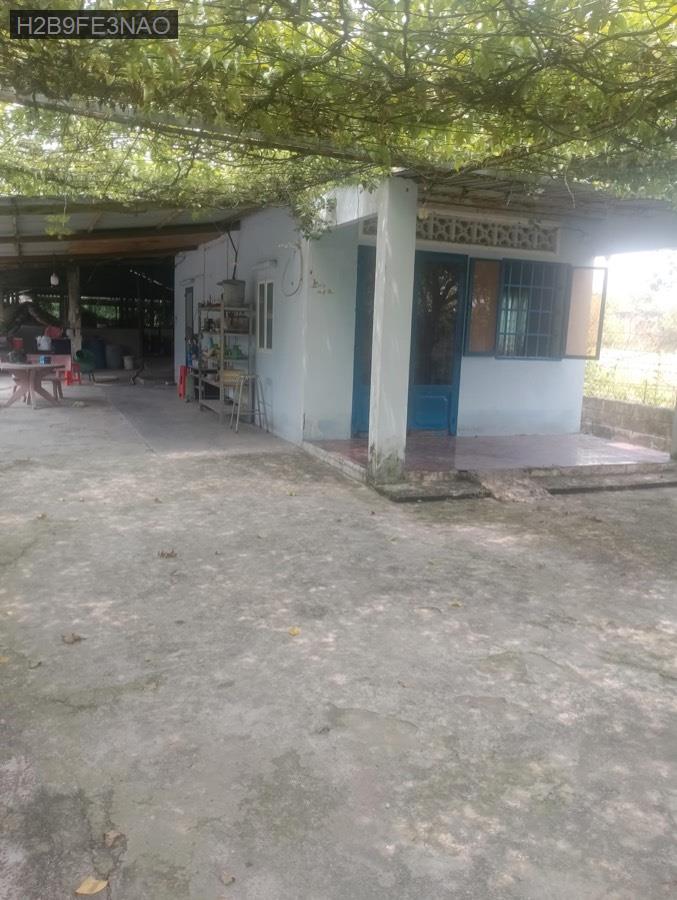 Bán lô đất + nhà vườn có cấp 4 sẵn, có đường kênh nước chảy quanh năm - Xã Nhuận Đức  -  Huyện Củ Chi  - (ảnh - 1)