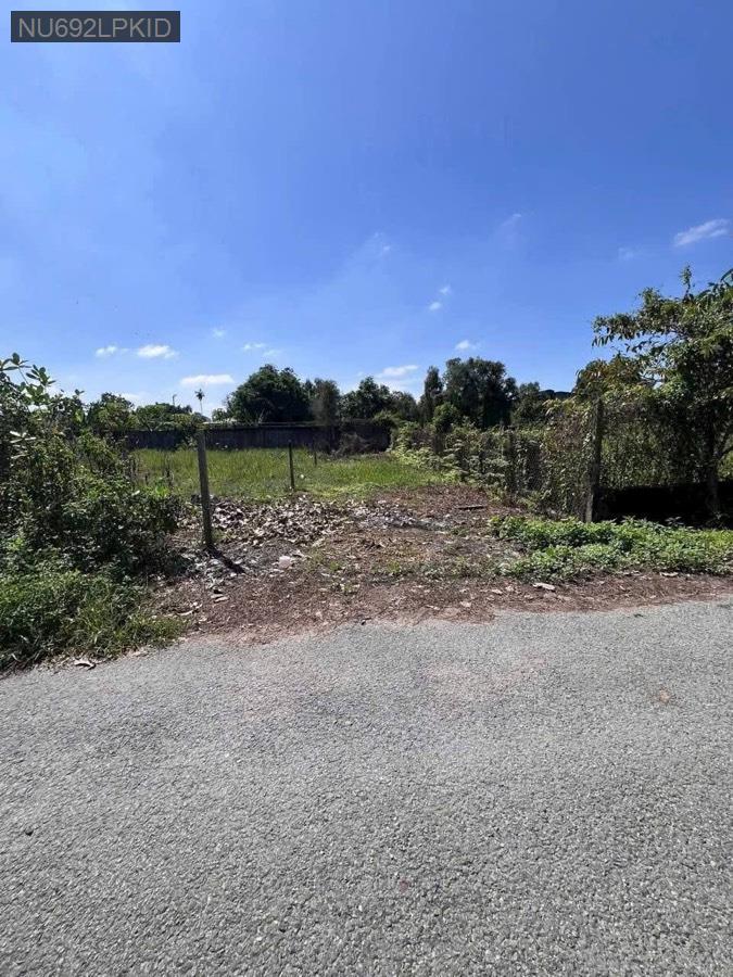 Bán đất Đường 185 cách TL8 500m, gần khu công nghiệp Đông Nam. Giá 2tỷ650triệu - Xã Bình Mỹ  -  Huyện Củ Chi  - (ảnh - 0)