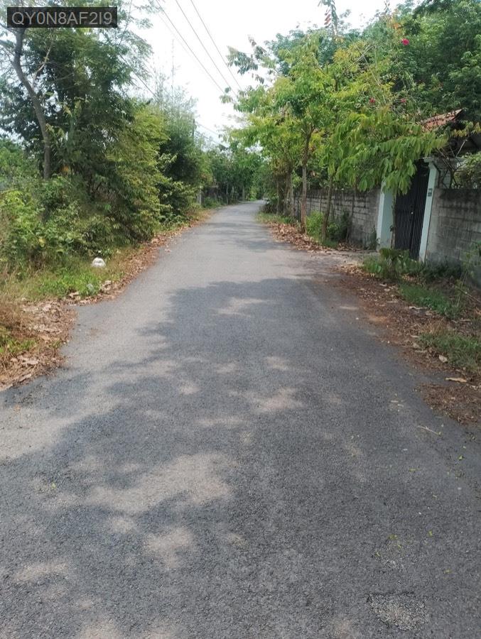 Bán lô đất mặt tiền đường nhựa Nhuận Đức tổng diện tích 3600m² chưa thổ cư. Giá 13tỷ còn TL - Xã Nhuận Đức  -  Huyện Củ Chi  - (ảnh - 3)