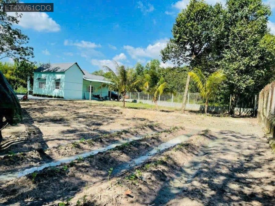 Bán nhà vườn Thái Mỹ gần trường học - uỷ ban. Giá 3tỷ TL - Xã Thái Mỹ  -  Huyện Củ Chi  - (ảnh - 3)