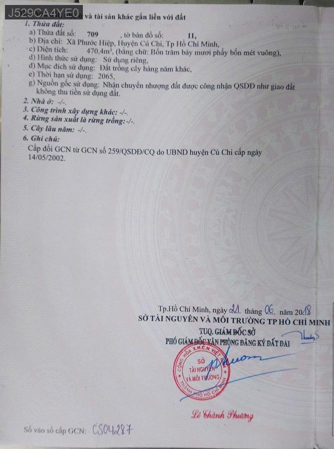 Bán nhà mặt tiền kênh, nhà diện tích rộng, gần kênh có thể trồng thêm cây, chăn nuôi gà vịt,… - Xã Phước Hiệp  -  Huyện Củ Chi  - (ảnh - 4)