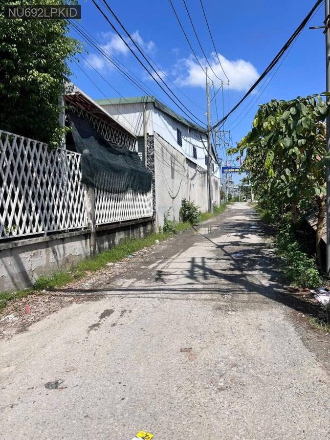 Bán đất Đường 185 cách TL8 500m, gần khu công nghiệp Đông Nam. Giá 2tỷ650triệu - Xã Bình Mỹ  -  Huyện Củ Chi  - (ảnh - 1)