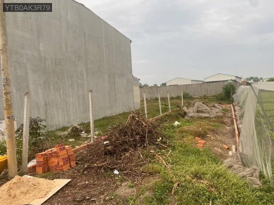 Bán đất mặt tiền đường nhựa thông Xã Tân Phú Trung, diện tích 5x23 full thổ cư - Xã Tân Phú Trung  -  Huyện Củ Chi  - (ảnh - 0)