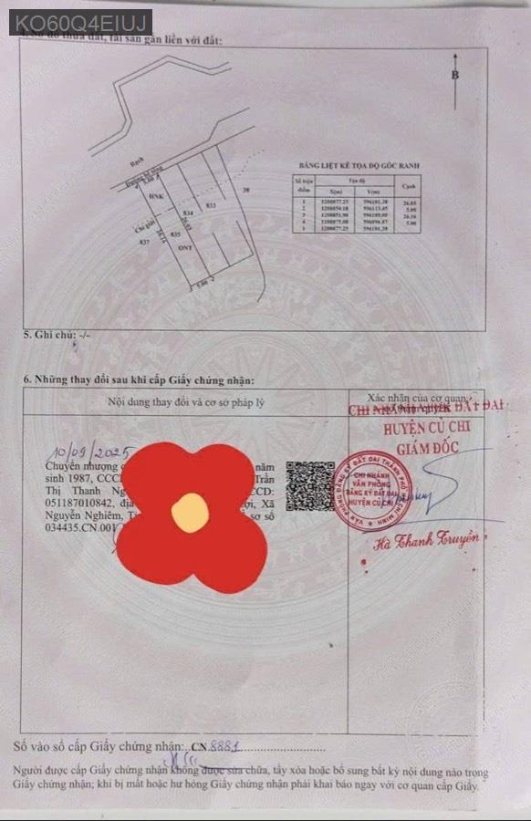 Bán đất Kênh Nhà Vuông cách Vành Đai 3 chỉ 250m, SHR 5x26 xây dựng tự do - Xã Bình Mỹ  -  Huyện Củ Chi  - (ảnh - 3)