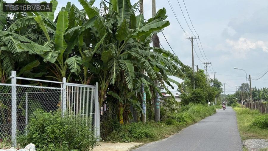 Bán đất mặt tiền Trần Quang Đạo, diện tích 10x40 tổng 409m². Giá 5.7tỷ TL - Xã Tân Thông Hội  -  Huyện Củ Chi  - (ảnh - 0)