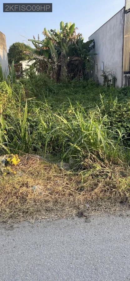 Bán đất mặt tiền đường nhựa 122 hoa nắng, diện tích 5x25 full thổ cư. Giá 2.8tỷ TL - Xã Tân Thạnh Đông  -  Huyện Củ Chi  - (ảnh - 0)