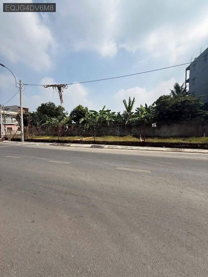 Bán lô đất Xã Xuân Thới Thượng diện tích 8x11 SHR 81m² thổ cư, không bị lộ giới - Xây dựng tự do  - Xã Xuân Thới Thượng  -  Huyện Hóc Môn  - (ảnh - 0)