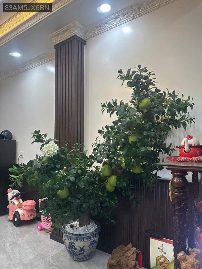 Bán nhà Sổ Hồng Riêng ngay chợ Thới Hoà vào, kết cấu 1 trệt 3 tấm rưỡi có 6 phòng ngủ - Xã Vĩnh Lộc A  -  Huyện Bình Chánh  - (ảnh - 3)