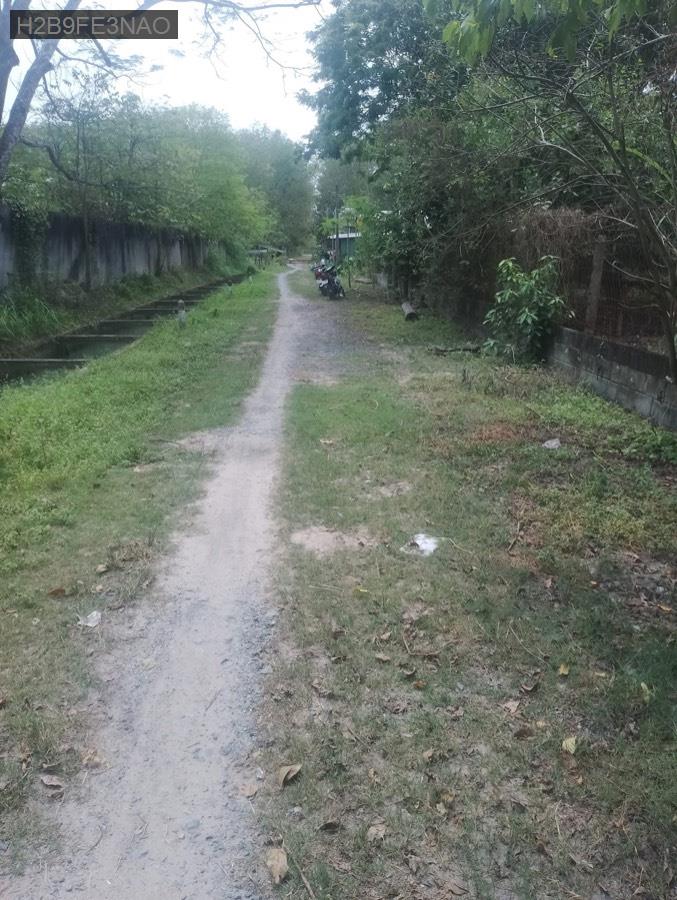 Bán lô đất + nhà vườn có cấp 4 sẵn, có đường kênh nước chảy quanh năm - Xã Nhuận Đức  -  Huyện Củ Chi  - (ảnh - 2)