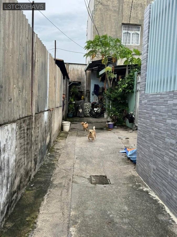 Bán lô đất Bà Điểm SHR 6x13. Hẻm xe ba gác, cách mặt tiền Nguyễn Ảnh Thủ chỉ 200m - Xã Bà Điểm  -  Huyện Hóc Môn  - (ảnh - 2)
