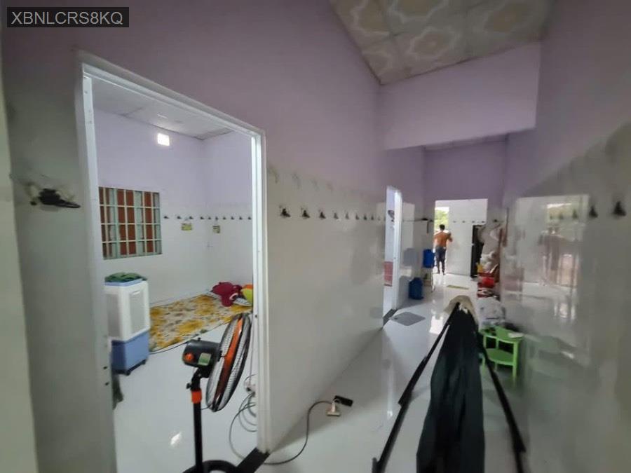 Bán nhà mặt tiền nhựa TL9, SHR 6x42 thổ cư full. Gần chợ, trường học,… - Xã Đức Hoà Thượng  -  Huyện Đức Hòa  - (ảnh - 3)