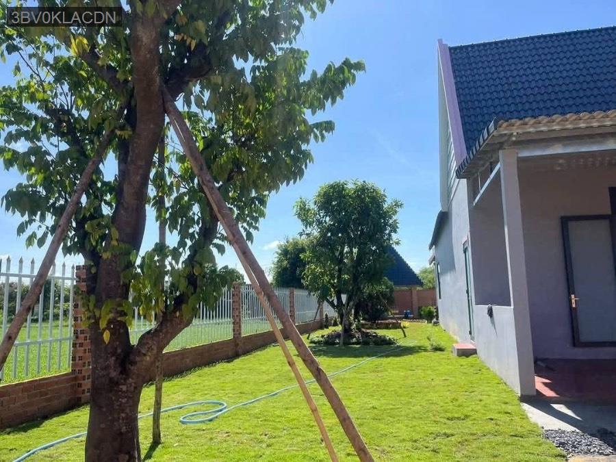 Bán nhà vườn SHR. Quá đẹp cho ace mua để cho gia đình nghỉ dưỡng cuối tuần  - Xã An Ninh Tây  -  Huyện Đức Hòa  - (ảnh - 5)