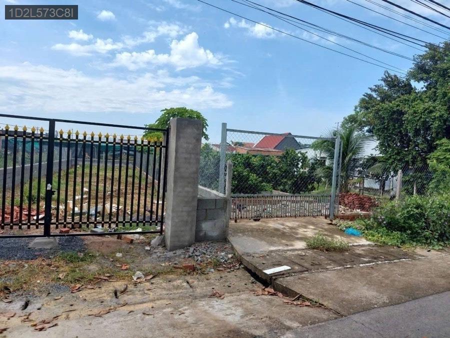 Bán đất gần chợ Việt Kiều mặt tiền đường nhựa. Có 164m² thổ cư - Xã Tân Thông Hội  -  Huyện Củ Chi  - (ảnh - 2)