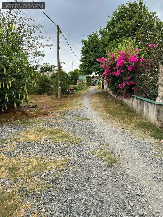 Bán lô đất vườn cách QL22 tầm 100m, gần trường học - uỷ ban. Diện tích 16x48, tổng 769m² - Xã Tân Thông Hội  -  Huyện Củ Chi  - (ảnh - 6)