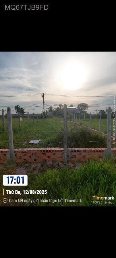 Bán đất mặt tiền đường Trung Lập, cách đường Phú Thuận 100m, Dt 6x41. Giá : 2.15tỷ bớt lộc - Xã Trung Lập Thượng  -  Huyện Củ Chi  - (ảnh - 2)