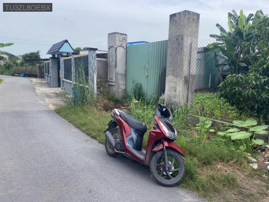 Bán lô đất hiện hữu SHR vị trí mặt tiền đường nhựa Mai Thị Buội, đường thông xe, không mồ mã - Xã Phước Vĩnh An  -  Huyện Củ Chi  - (ảnh - 4)