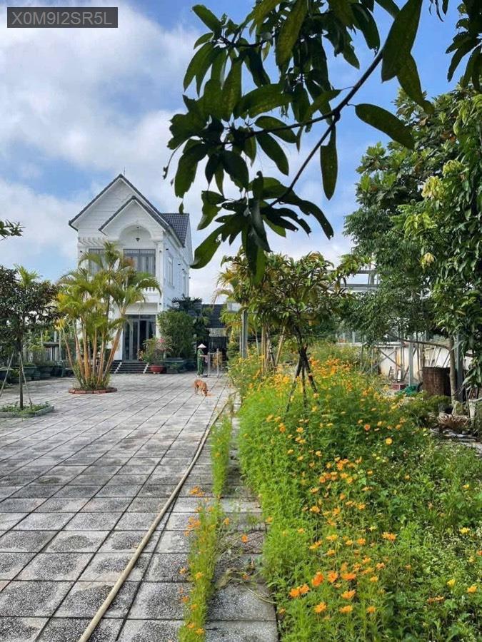 Bán biệt thự đường Đỗ Đăng Tuyển tổng diện tích 925m. Giá 12tỷ5 - Xã An Nhơn Tây  -  Huyện Củ Chi  - (ảnh - 2)