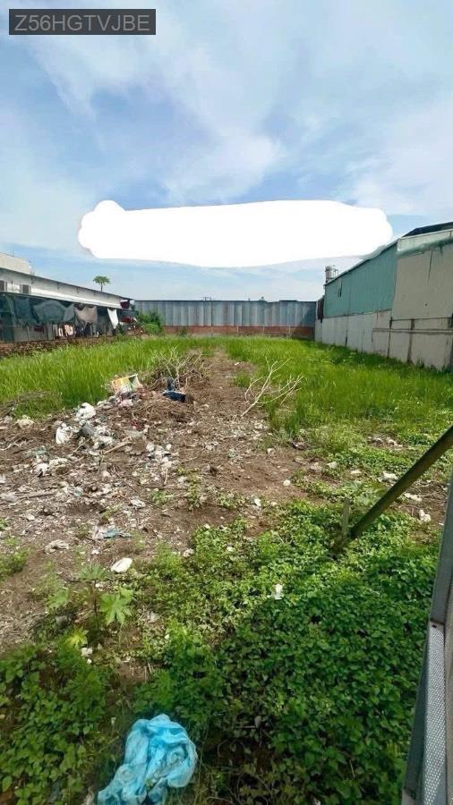 Bán đất mặt tiền Phạm Văn Sáng ngay ngã 4 Nữ Dân Công và Quách Điêu. Diện tích 10x50 có 400m² thổ  - Xã Vĩnh Lộc A  -  Huyện Bình Chánh  - (ảnh - 2)