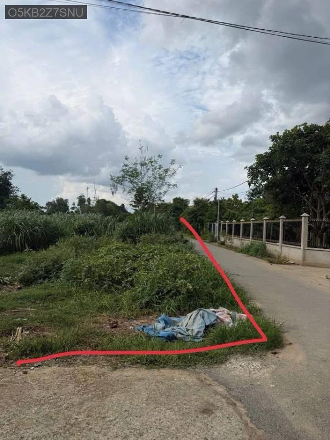 Bán đất mặt tiền đường nhựa TL15 100m, tdt 1096m có 243m thổ cư. Giá 5tỷ TL ít - Xã Phú Hòa Đông  -  Huyện Củ Chi  - (ảnh - 2)