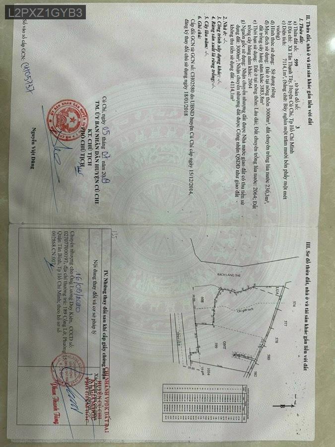 Bán lô đất mặt tiền Tỉnh Lộ 8, thuận tiện cho khách làm công ty kho xưởng - Xã Tân Thạnh Tây  -  Huyện Củ Chi  - (ảnh - 0)