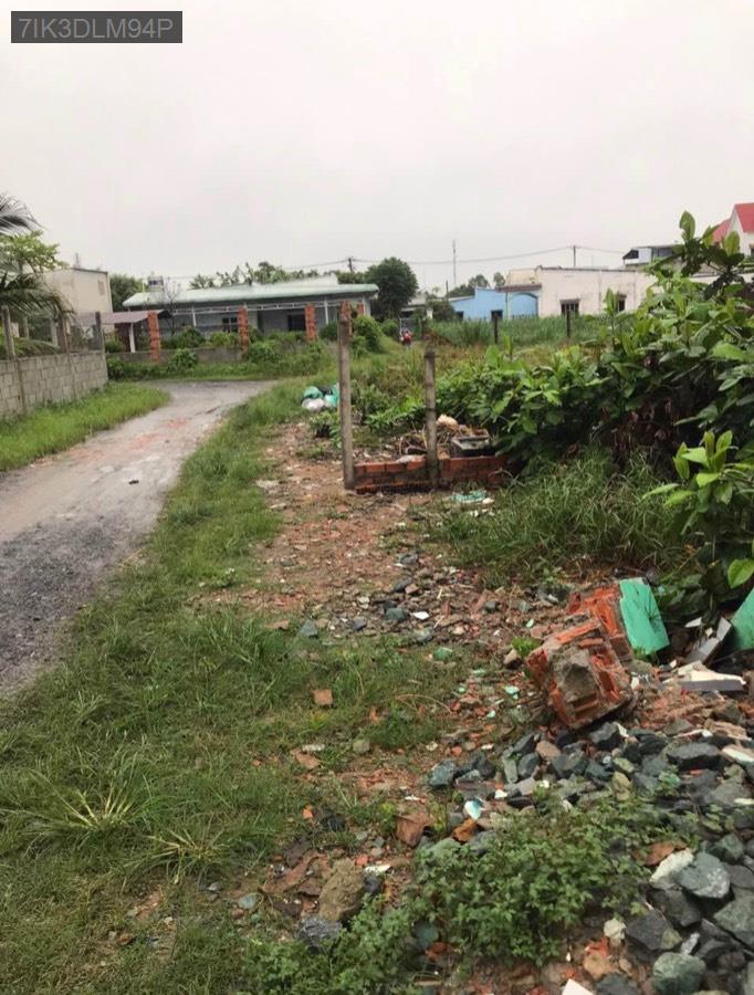 Bán lô đất Tân Thạnh Đông, SHR 8x19 trong đó có 120m² đất ở. Xây dựng tự do, hẻm xe hơi - Xã Tân Thạnh Đông  -  Huyện Củ Chi  - (ảnh - 2)