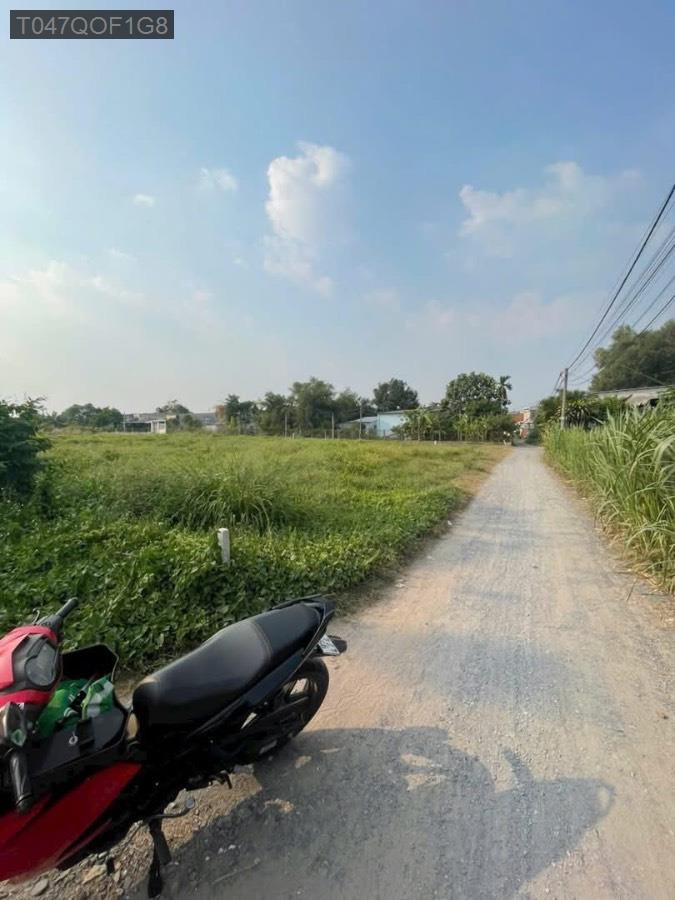 Bán đất Đường Trần Thị Cẩm, dt 393m² có sẵn 100m² thổ cư. Giá 3tỷ150tr TL - Xã Tân Phú Trung  -  Huyện Củ Chi  - (ảnh - 1)