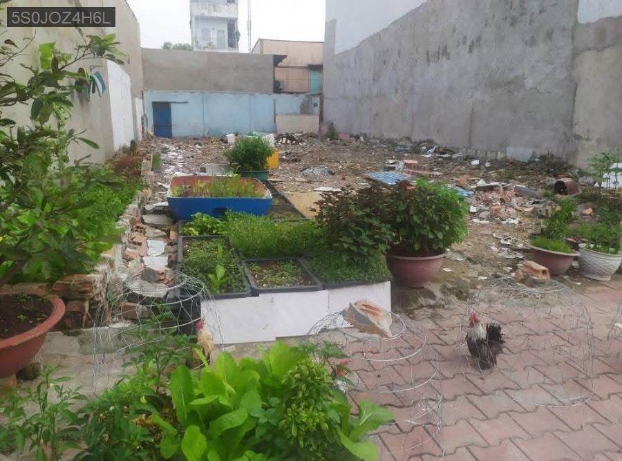 Bán đất mặt tiền Nguyễn Thị Tuôi, SHR 8.2x24. Giá 13tỷ TL - Xã Vĩnh Lộc A  -  Huyện Bình Chánh  - (ảnh - 0)