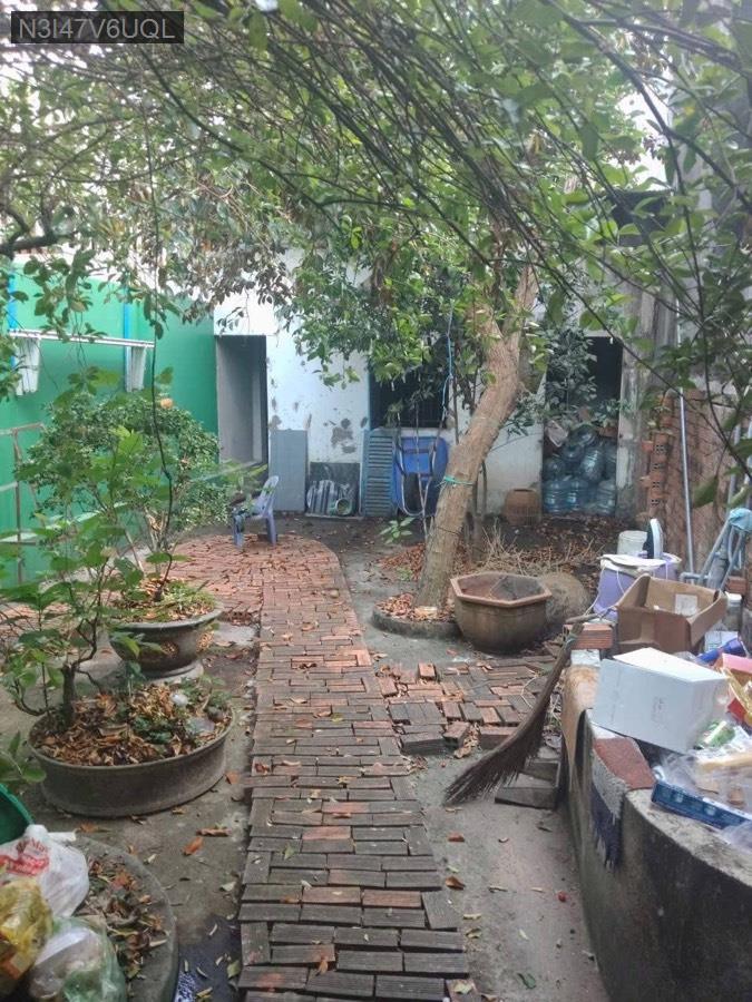 Bán nhà mặt tiền đường nhựa Xã Trung An, diện tích 5.5x43 full thổ. Giá 3.5tỷ TL - Xã Trung An  -  Huyện Củ Chi  - (ảnh - 6)