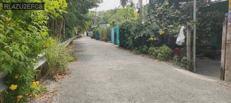 Bán đất Tỉnh Lộ 9, mặt tiền Nguyễn Thị Da. Diện tích : 475m² SHR có 120m thổ cư, xây dựng tự do - Xã Bình Mỹ  -  Huyện Củ Chi  - (ảnh - 1)