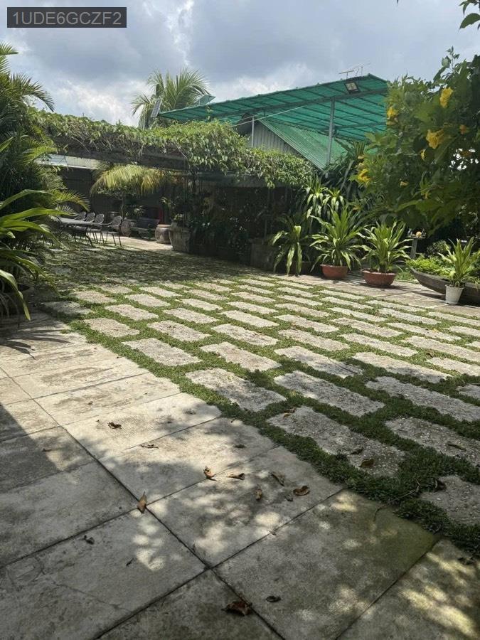Bán nhà vườn đường Phạm Văn Sáng SHR full thổ cư TDT 1000m. Giá 25tỷ5 - Xã Vĩnh Lộc A  -  Huyện Bình Chánh  - (ảnh - 1)