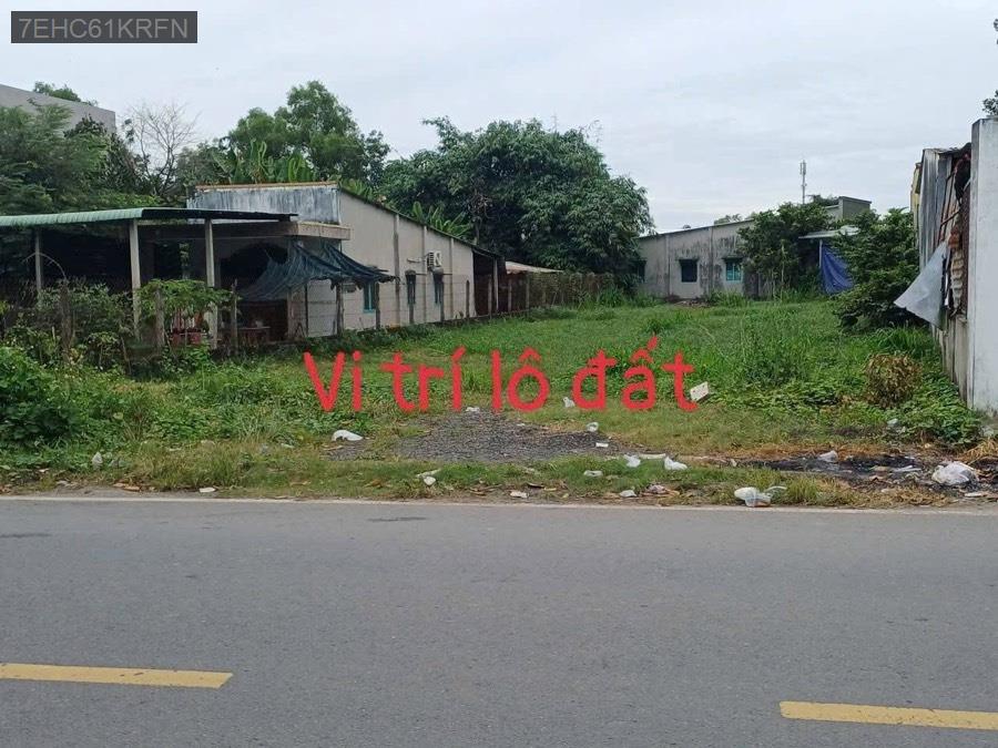 Bán đất mặt tiền Đường Nguyễn Kim Cương, tổng diện tích 700m. Thích hợp xây kho xưởng, biệt thự,… - Xã Tân Thạnh Đông  -  Huyện Củ Chi  - (ảnh - 3)