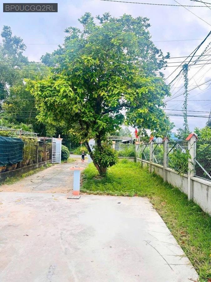 Bán nhà vườn góc 2 mặt tiền đường Bùi Thị Điệt diện tích 9x56. Có sẵn nhà cấp 4, đường nhựa thông - Xã Nhuận Đức  -  Huyện Củ Chi  - (ảnh - 0)