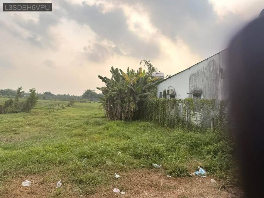 Bán lô đất mặt tiền đường Tân Thạnh Đông, diện tích 14x118. Giá 6tỷ TL - Xã Tân Thạnh Đông  -  Huyện Củ Chi  - (ảnh - 3)