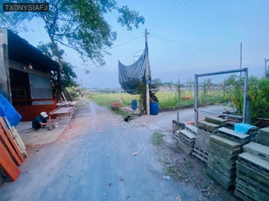 Bán đất mặt tiền đường bê tông Tân Phú Trung cũ, dt 1165m² có sẵn 50m thổ cư. - Xã Tân Phú Trung  -  Huyện Củ Chi  - (ảnh - 2)