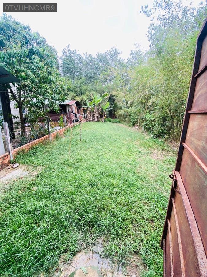 Bán đất tặng căn nhà cấp 4 kiên cố mặt tiền đường nhựa Trung Lập Thượng, diện tích 7.9x58 - Xã Trung Lập Thượng  -  Huyện Củ Chi  - (ảnh - 7)