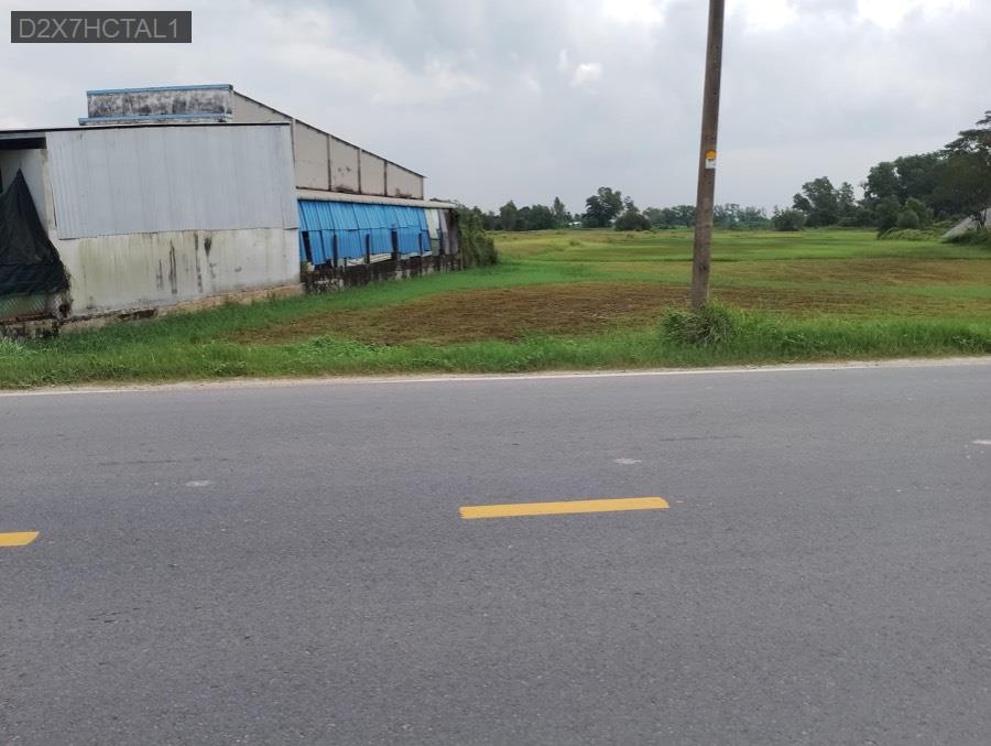 Bán lô đất mặt tiền TL15, diện tích 43x120 tổng diện tích 4292m². Giá 13tỷ - Xã Phú Mỹ Hưng  -  Huyện Củ Chi  - (ảnh - 4)