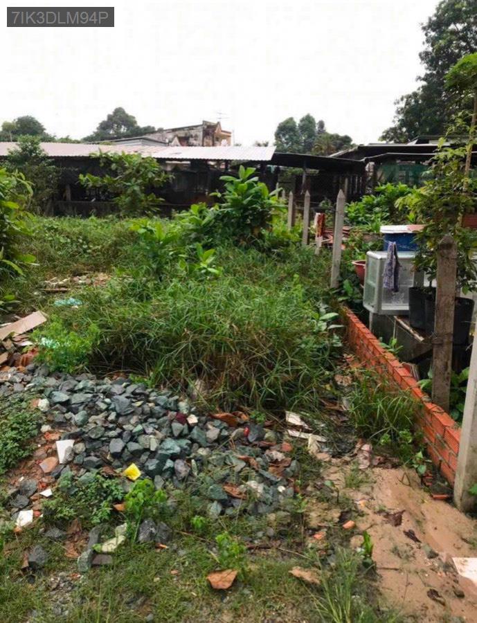 Bán lô đất Tân Thạnh Đông, SHR 8x19 trong đó có 120m² đất ở. Xây dựng tự do, hẻm xe hơi - Xã Tân Thạnh Đông  -  Huyện Củ Chi  - (ảnh - 1)