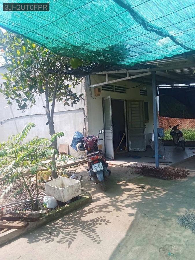 Bán nhà vườn đường Lại Hùng Cường. Nước sạch đầy đủ - Giá chỉ 2tỷ1 - Xã Vĩnh Lộc B  -  Huyện Bình Chánh  - (ảnh - 3)