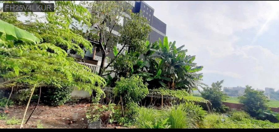 Bán đất Thới Tam Thôn diện tích 133.4m full thổ. Giá 6tỷ5 TL - Xã Thới Tam Thôn  -  Huyện Hóc Môn  - (ảnh - 1)